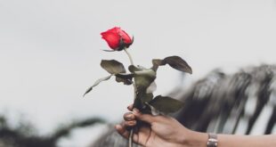 Ahiretlik Bir Aşk Bizimkisi