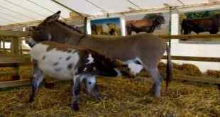 Arkadaşlık Veya Dostluk Böyle mi Olur?