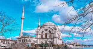 Çevre İncelemesi Şart Azizim! Fil Suresi.